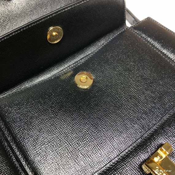 Hyper Peter bag Sylvie shoulder small GUCCI 1969 0811